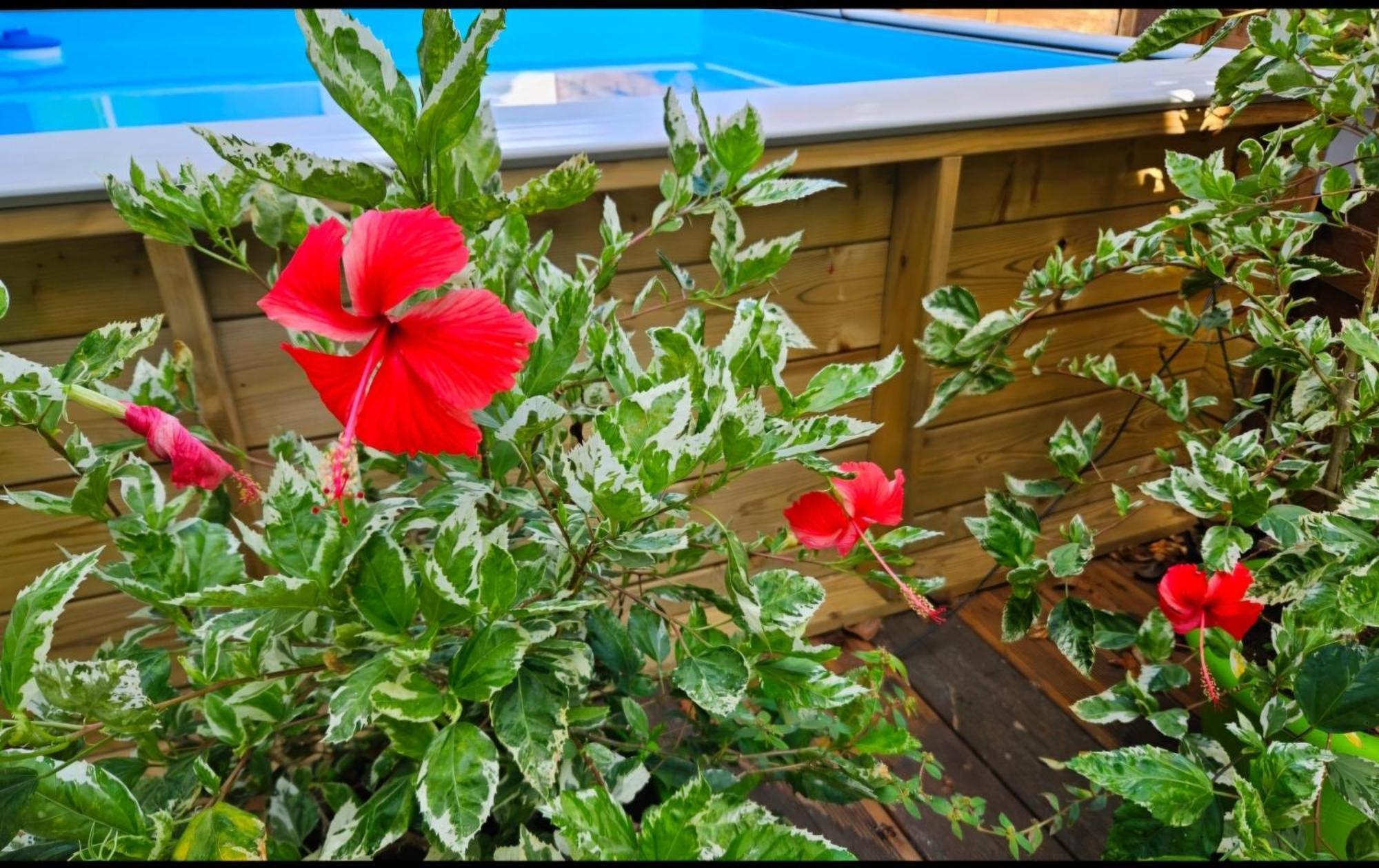 Gite Rubis Passion Port-Louis Exteriör bild