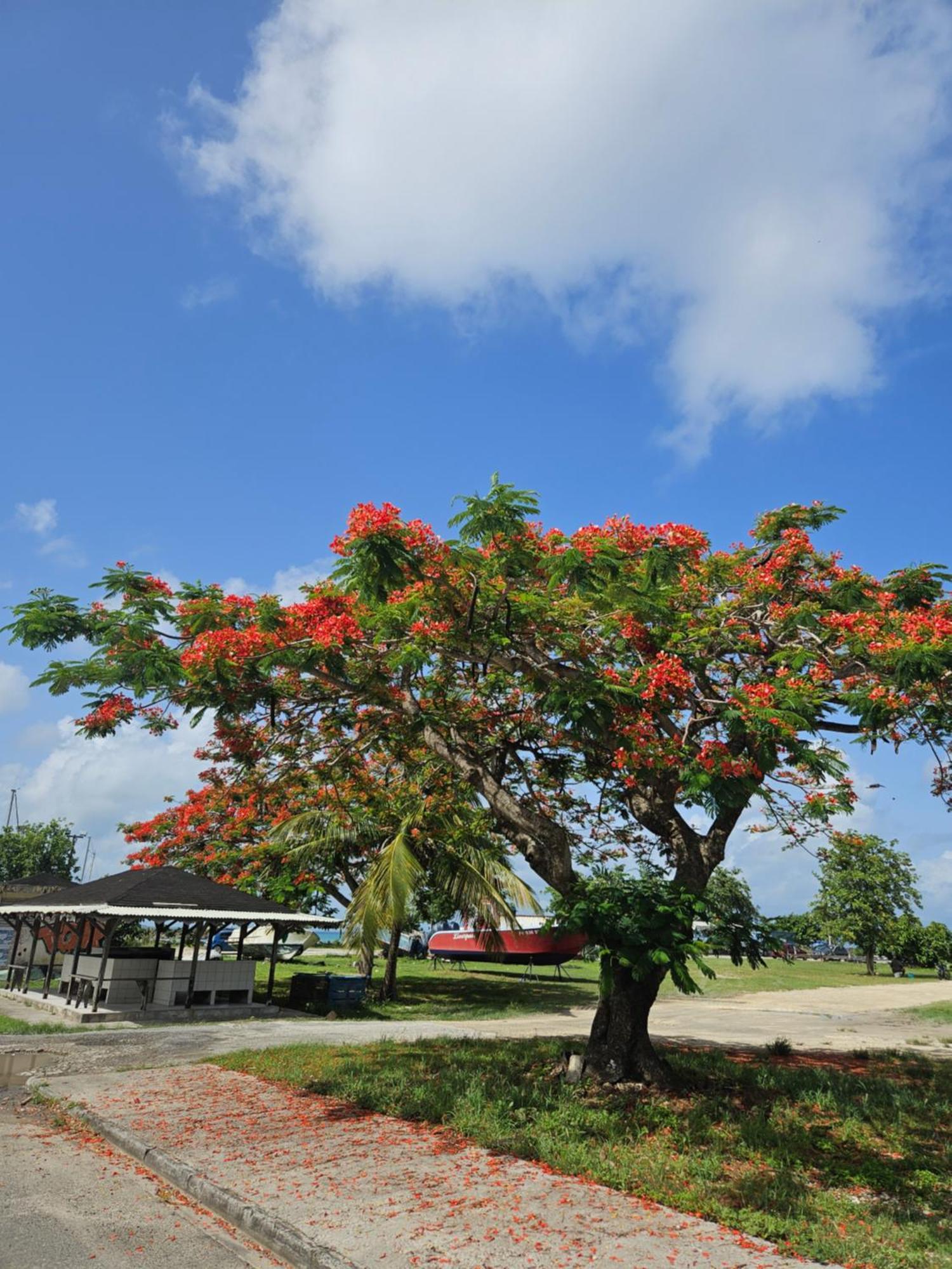 Gite Rubis Passion Port-Louis Exteriör bild